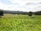 . Liena Road, Mole Creek TAS 7304