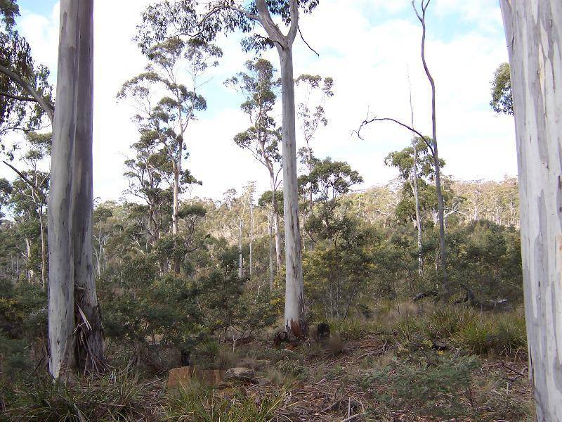 . Lake Leake Road, Lake Leake TAS 7210