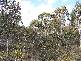 . Lake Leake Road, Lake Leake TAS 7210