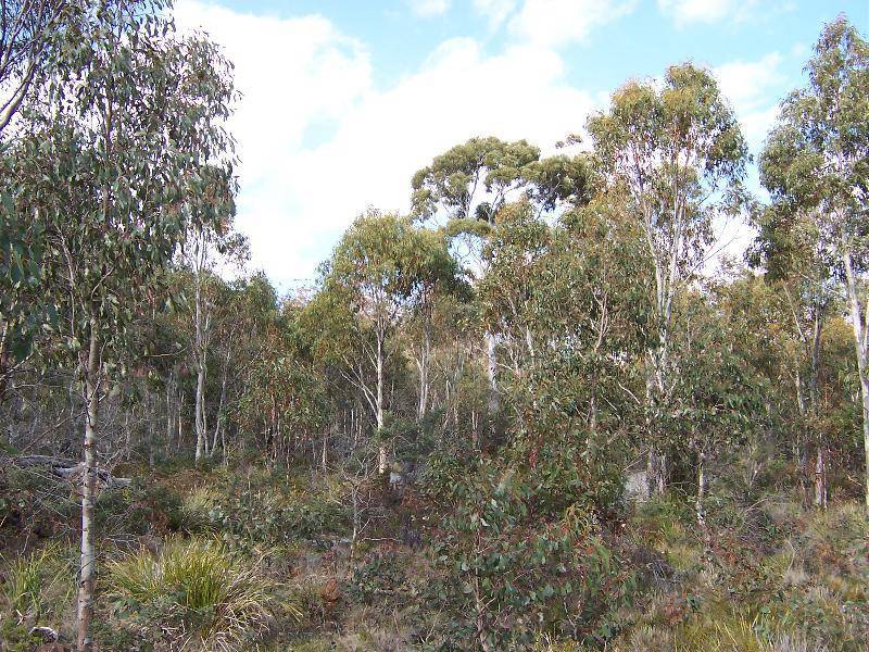 . Lake Leake Road, Lake Leake TAS 7210