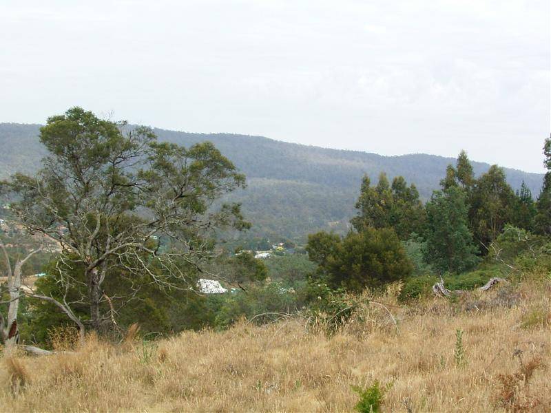 3 Zenith Court, Blackstone Heights TAS 7250