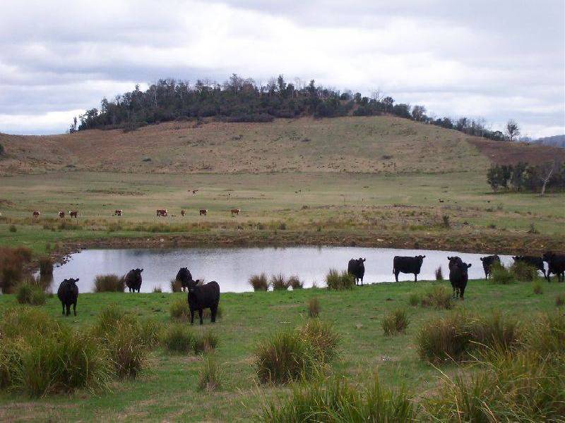 . Uplands, Deddington TAS 7212