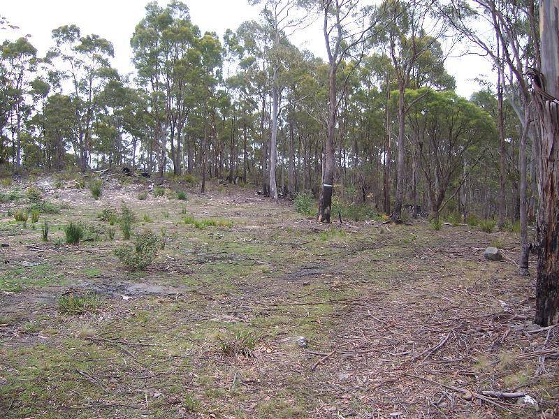 Lot 4 Main Esk Road, St Marys TAS 7215