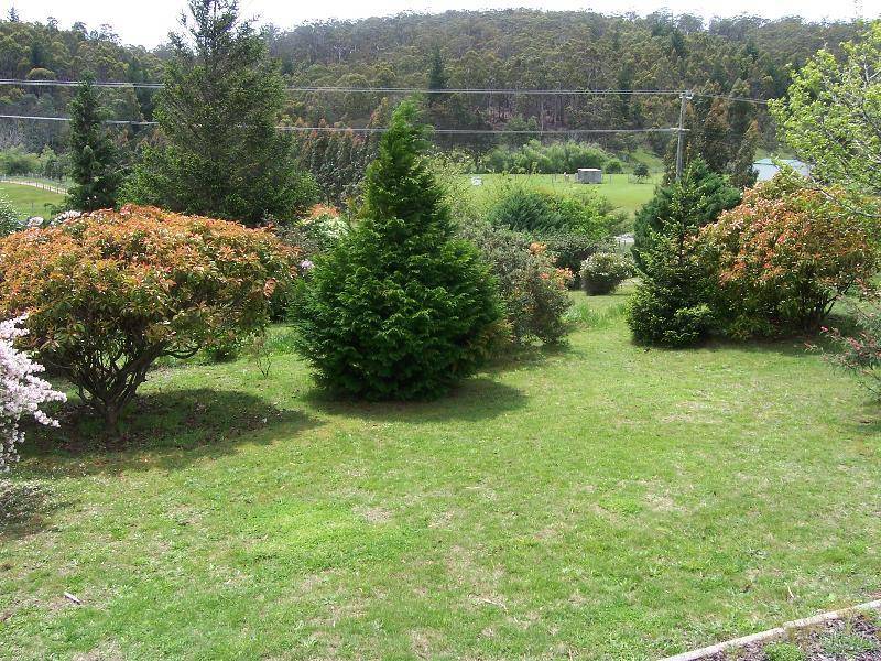 56 Gray Road, St Marys TAS 7215
