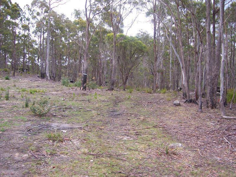 Lot 4 Main Esk Road, St Marys TAS 7215