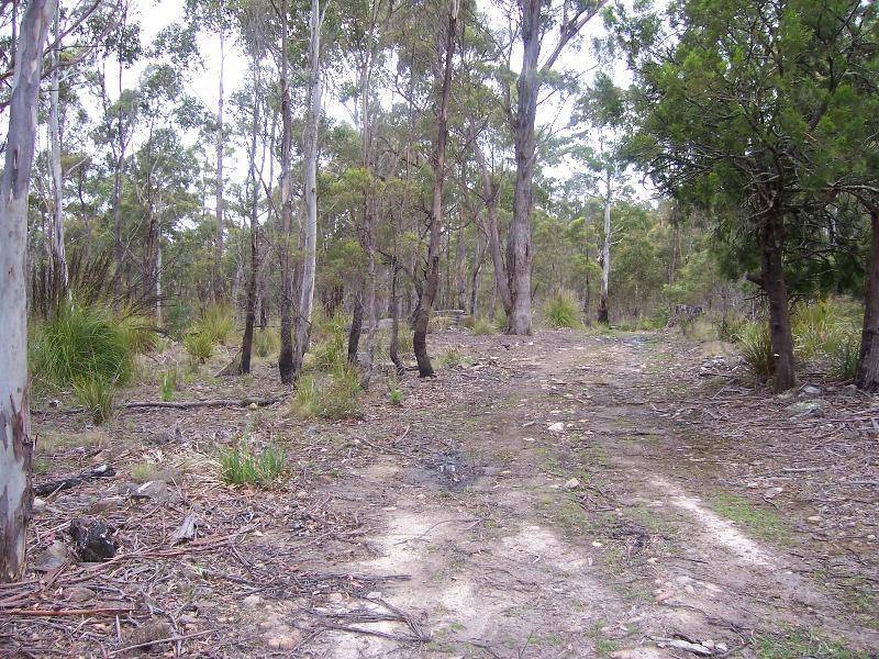 Lot 4 Main Esk Road, St Marys TAS 7215