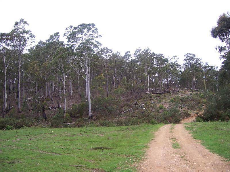 Lot 4 Main Esk Road, St Marys TAS 7215