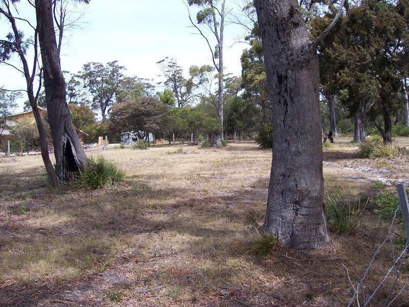 10 Barnett Close, Binalong Bay TAS 7216
