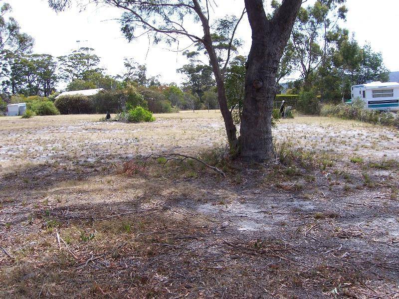 10 Barnett Close, Binalong Bay TAS 7216