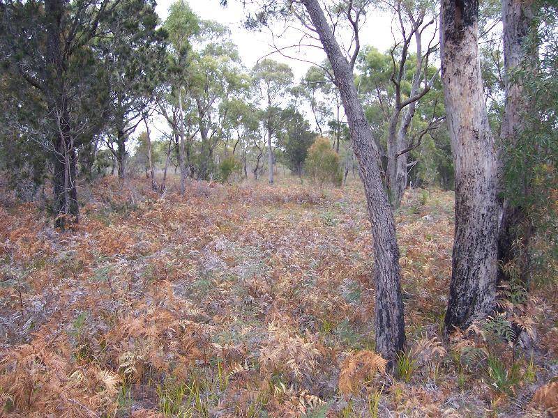 Lot 2 Gardens Road, Binalong Bay TAS 7216
