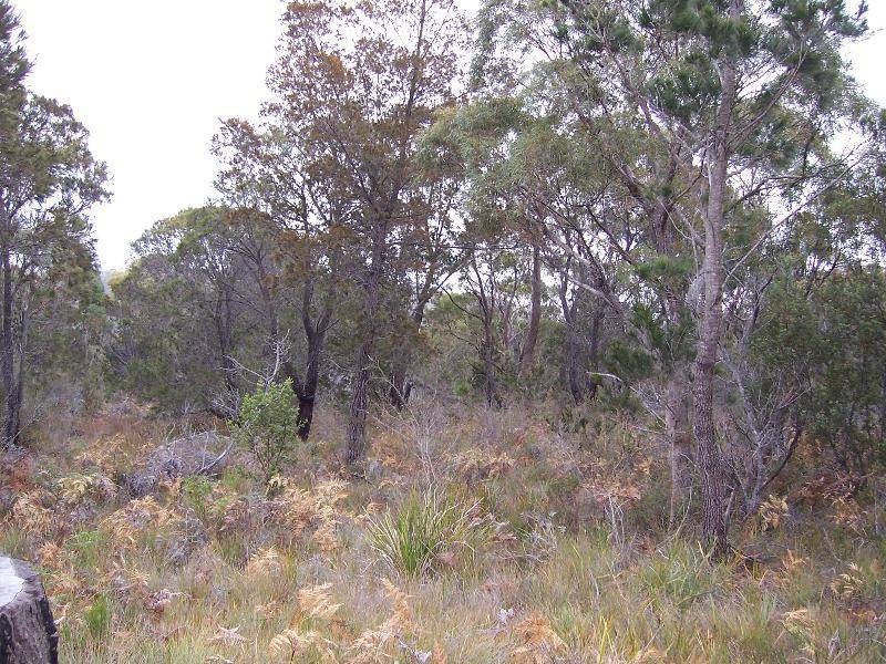 Lot 2 Gardens Road, Binalong Bay TAS 7216