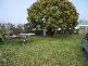36 Cameron Street, St Marys TAS 7215