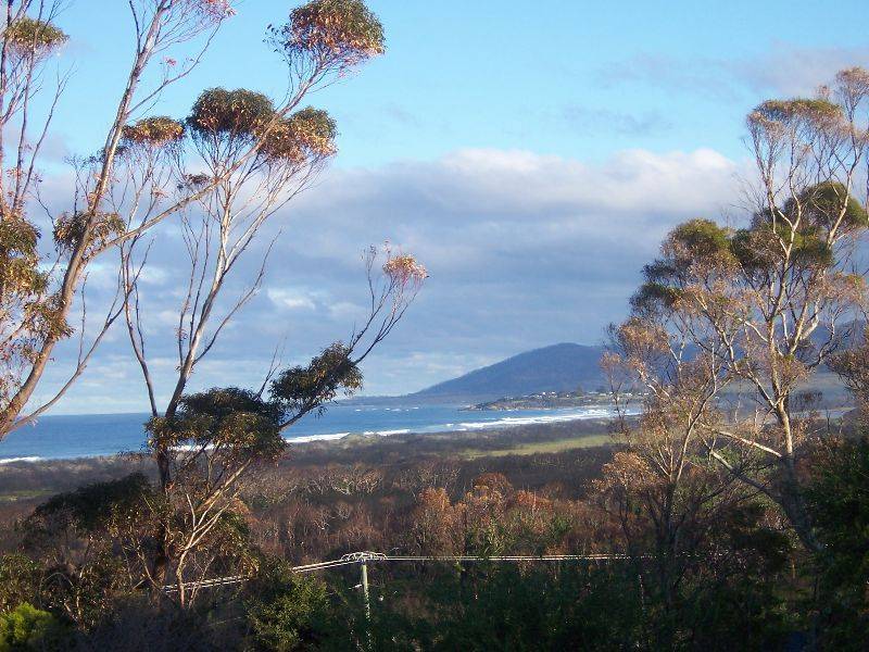 19 Pringle Street, Scamander TAS 7215