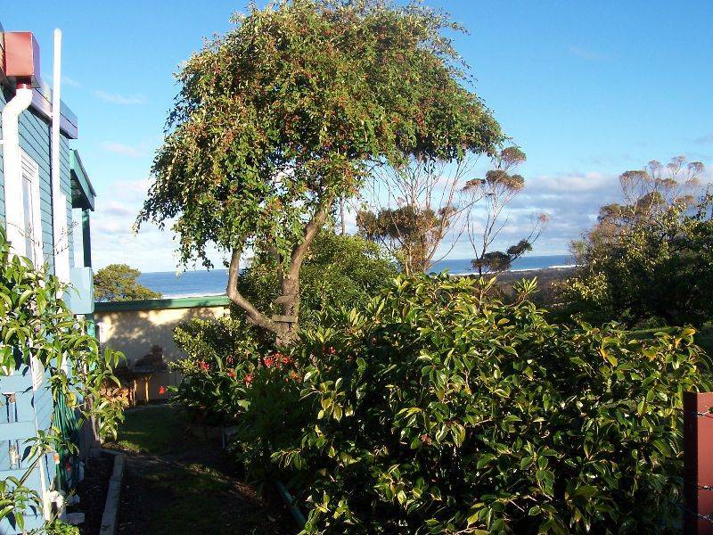 19 Pringle Street, Scamander TAS 7215