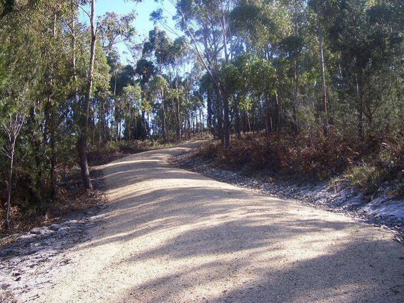 Lot 1 Ansons Bay Road, St Helens TAS 7216