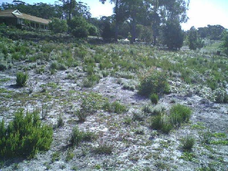 Lot 2 View Street, St Helens TAS 7216