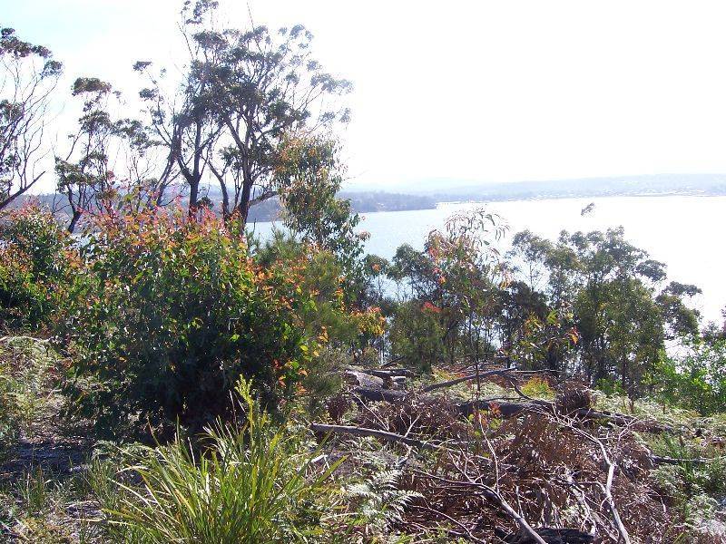 19A Aerodrome Road, Stieglitz TAS 7216