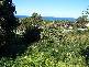 12 Florence Court, Beaumaris TAS 7215
