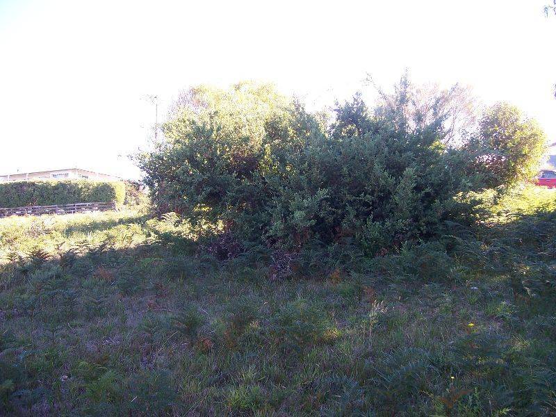 12 Florence Court, Beaumaris TAS 7215