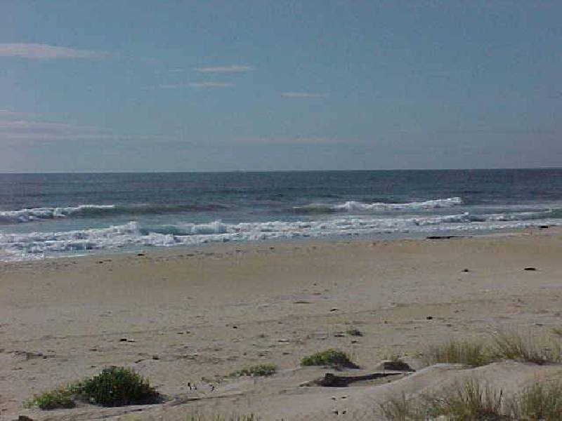 88 Tasman Highway, Beaumaris TAS 7215