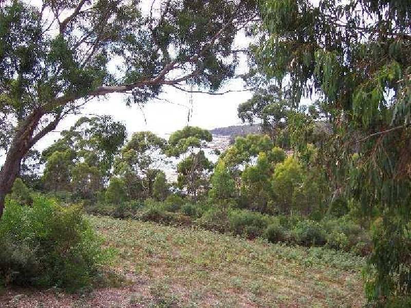 52 Treloggen Drive, Binalong Bay TAS 7216