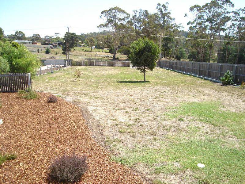 20 Emily Street, Bridport TAS 7262