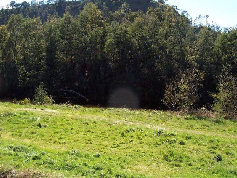 69 Main Street, Derby TAS 7264