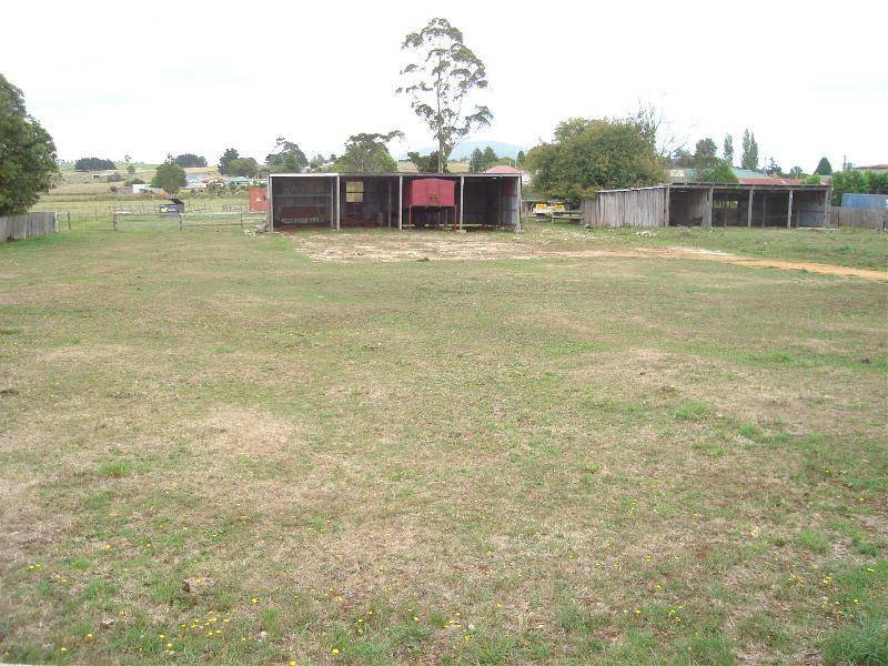 25 Winnaleah Road, Winnaleah TAS 7265