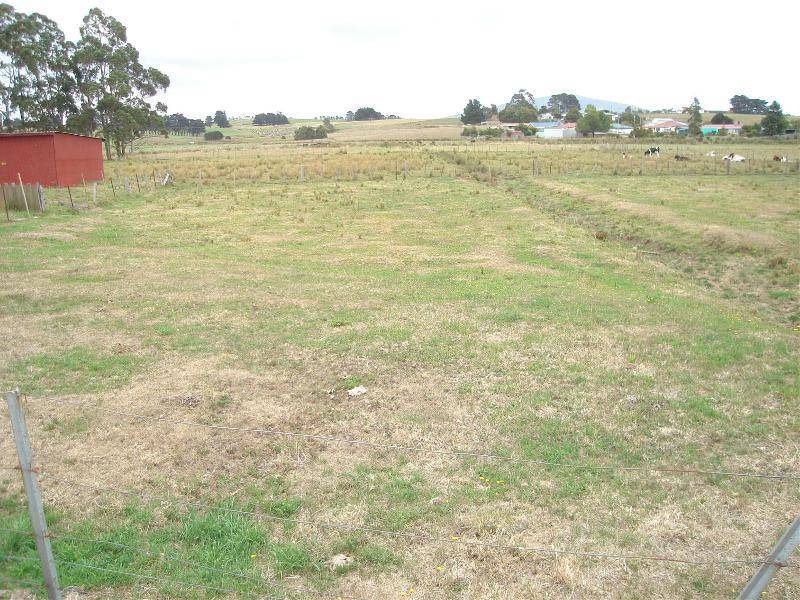 17 Winnaleah Road, Winnaleah TAS 7265