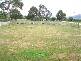 211 Barnett Road, Ringarooma TAS 7263