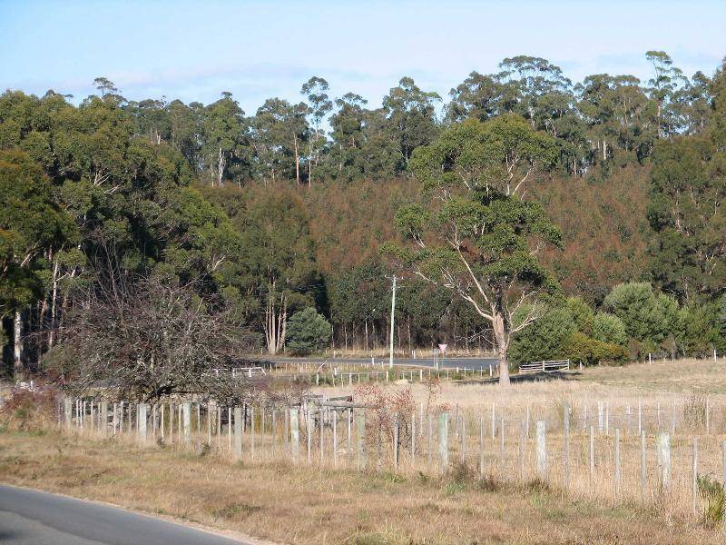 . Highland Lakes Road, Deloraine TAS 7304