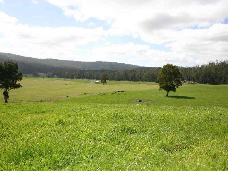 . Liena Road, Mole Creek TAS 7304