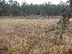 . Maloneys Road, Parkham TAS 7304