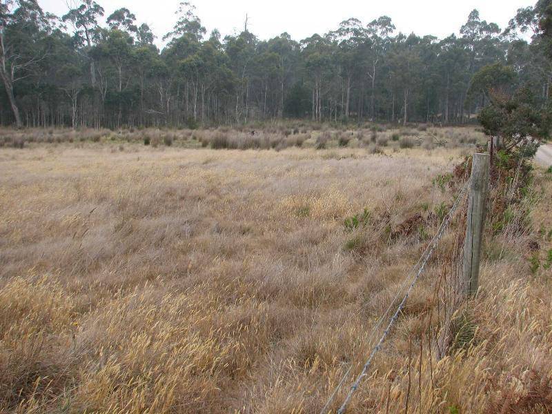 . Maloneys Road, Parkham TAS 7304