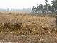 . Maloneys Road, Parkham TAS 7304