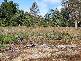 12625 Highland Lakes Road, Golden Valley TAS 7304