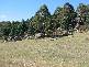 12625 Highland Lakes Road, Golden Valley TAS 7304
