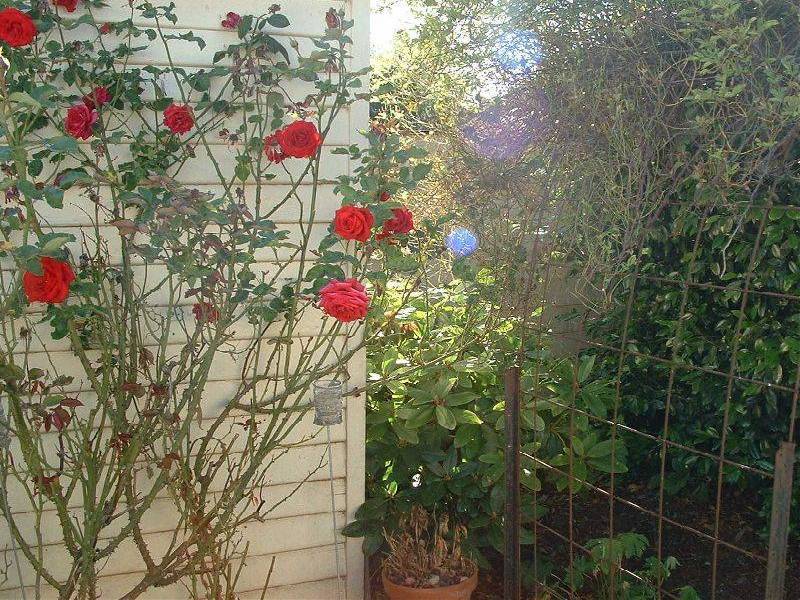 41 Tower Hill Street, Deloraine TAS 7304