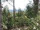 . Highland Lakes Road, Golden Valley TAS 7304