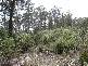 . Highland Lakes Road, Golden Valley TAS 7304