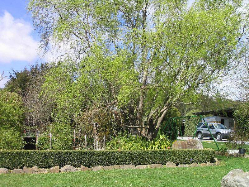 153 Main Road, Meander TAS 7304