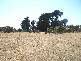 Lot 1 Sunset Boulevard, Clarence Point TAS 7270