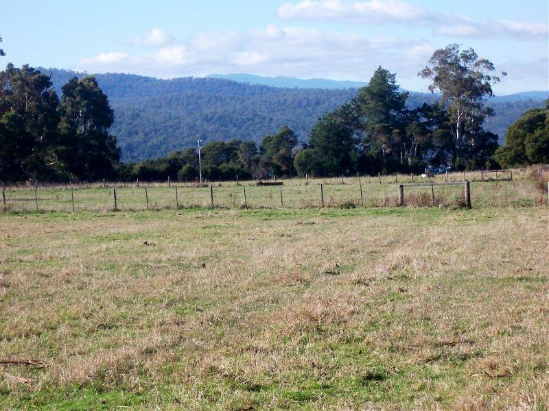 38 Paper Beach Road, Swan Point TAS 7275