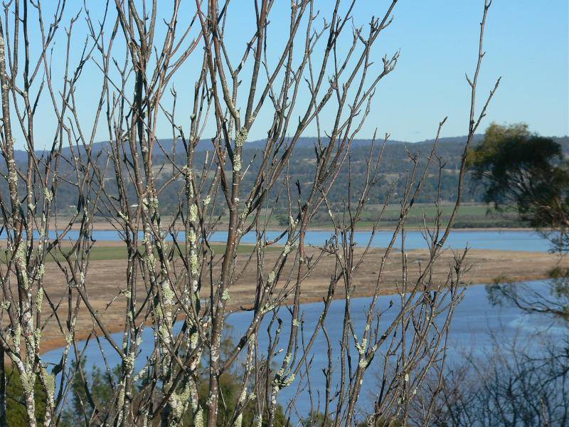 1229 East Tamar Highway, Dilston TAS 7252