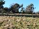 1229 East Tamar Highway, Dilston TAS 7252