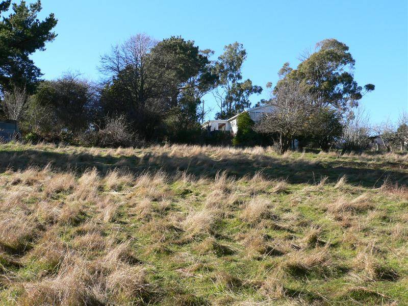1229 East Tamar Highway, Dilston TAS 7252