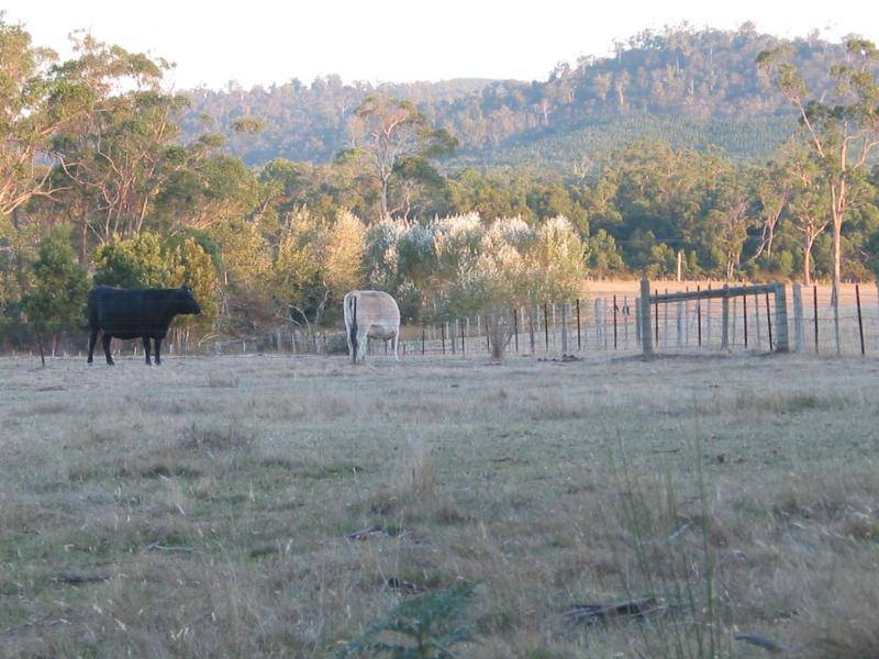 115 Everest Road, Exeter TAS 7275