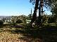 1229 East Tamar Highway, Dilston TAS 7252