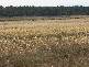 1354 Birralee Road, Birralee TAS 7303
