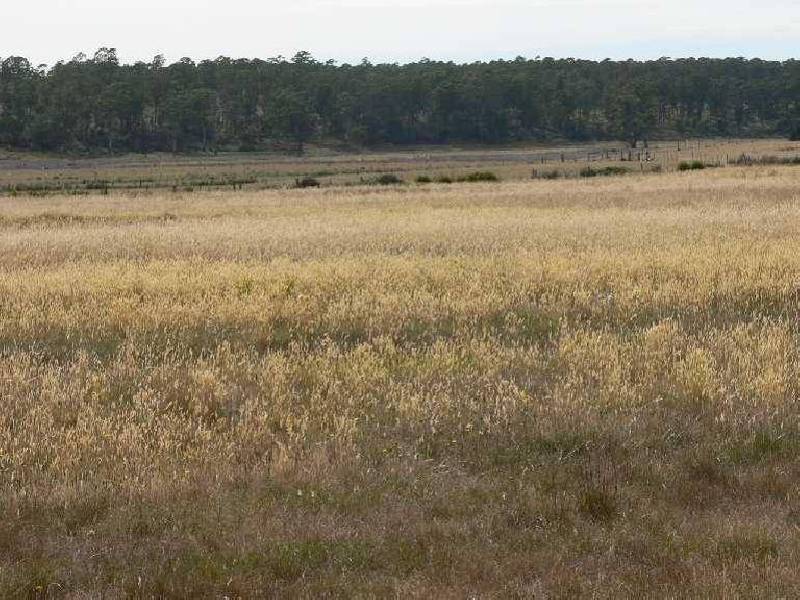 1354 Birralee Road, Birralee TAS 7303